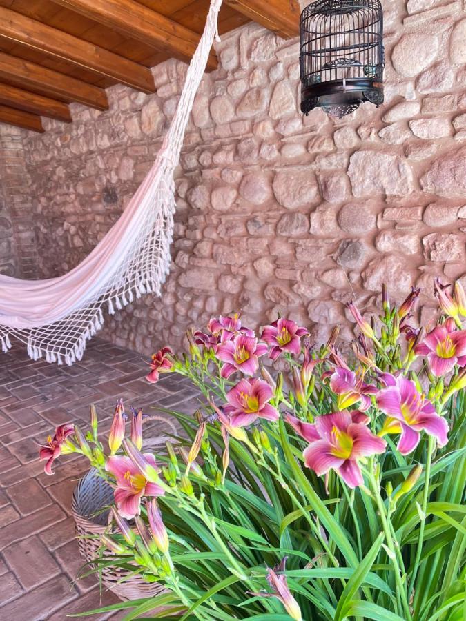 Le Mansarine Charme B&B Castellaro  Eksteriør bilde